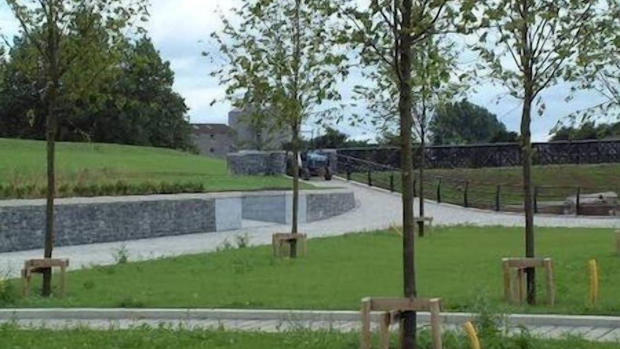 Photo of Others in Carlow