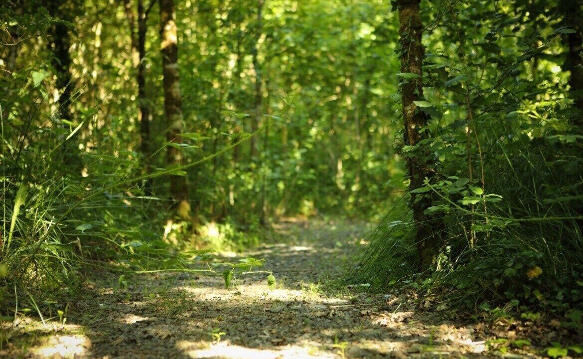 Photo of Outdoor in Nenagh