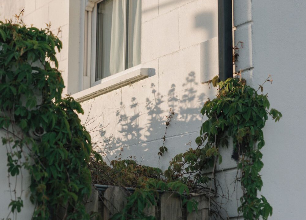 Photo of Outdoor in Westport