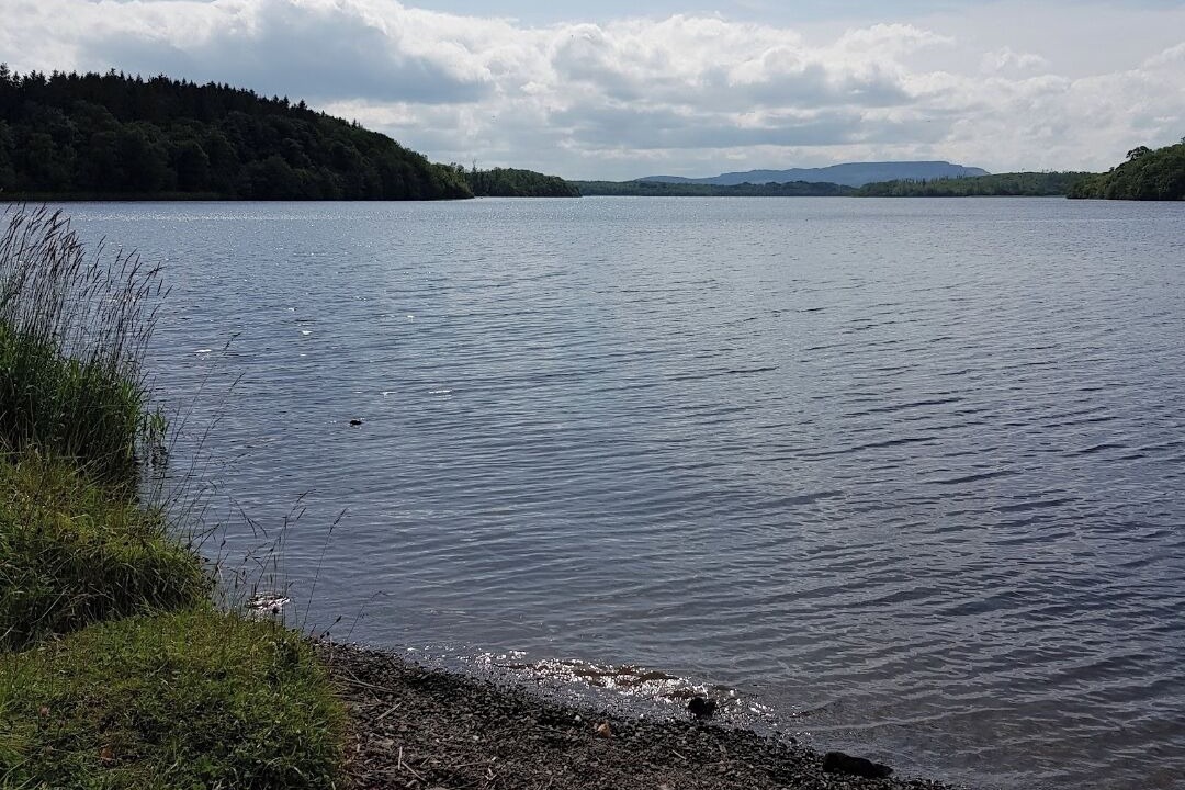 Photo of Others in Tyrone