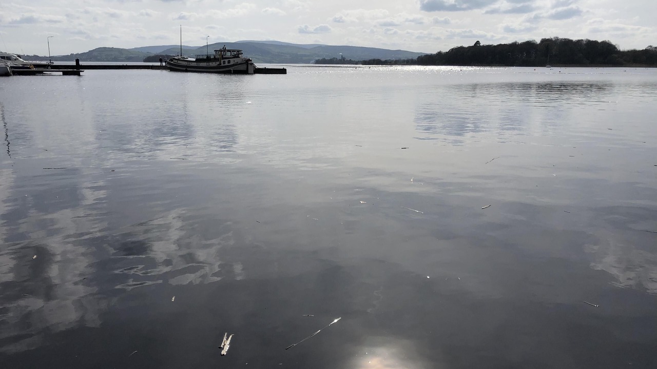 Photo of Others in Mountshannon