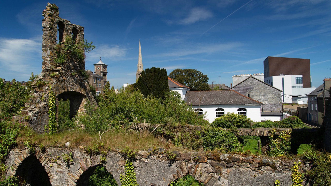 Photo of Others in Wexford