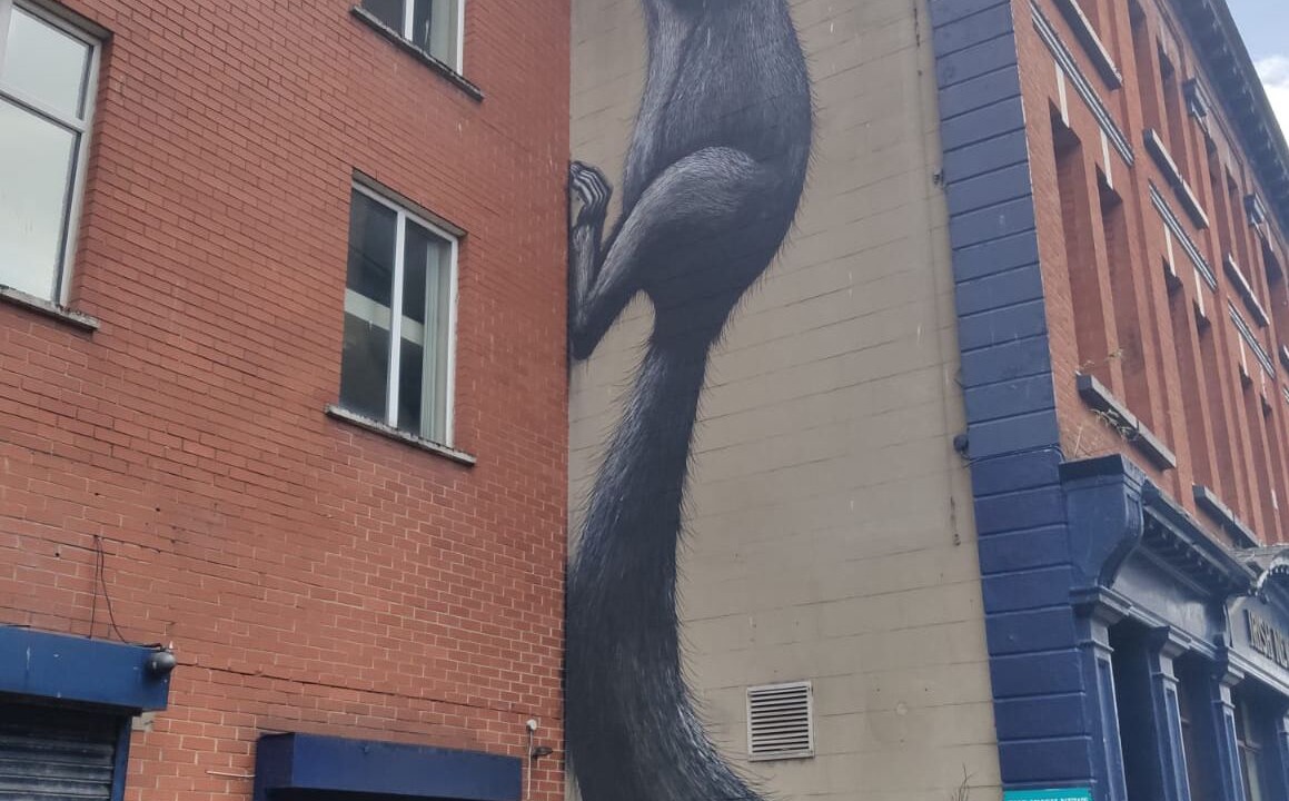 Photo of Outdoor in Queens Quarter