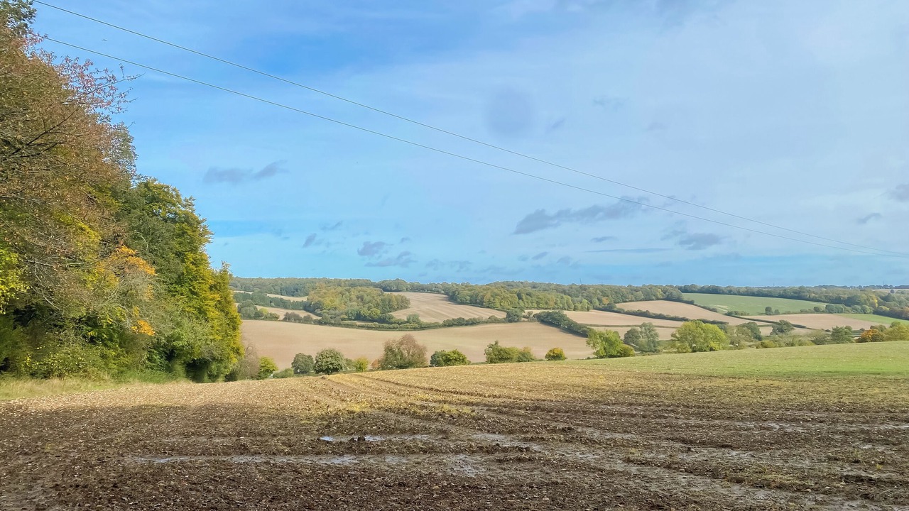 Photo of Others in Great Missenden