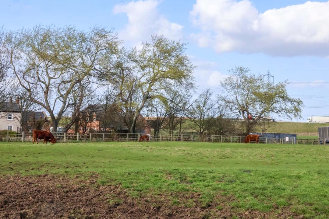 Photo of Others in Cowpen Bewley