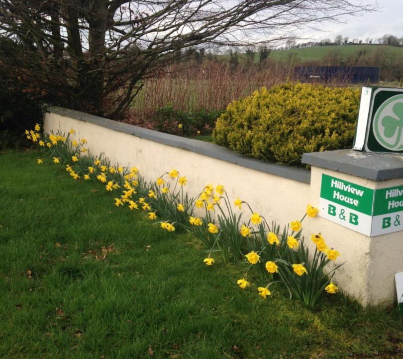 Photo of Others in Cootehill