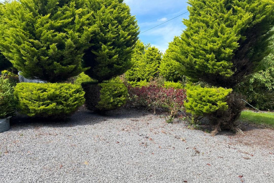 Photo of Outdoor in Ballyjamesduff