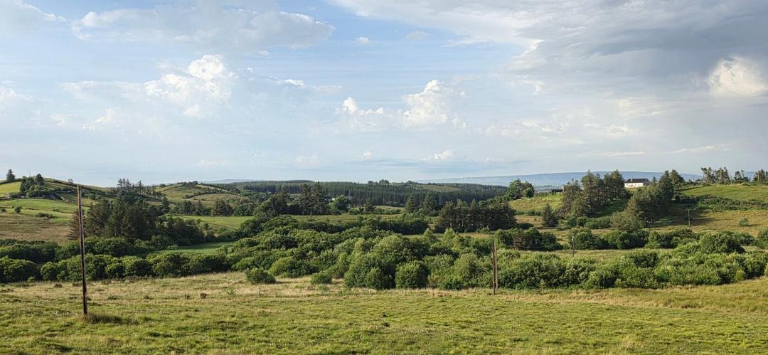 Photo of Others in County Mayo