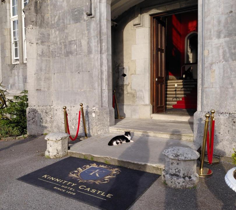 Photo of Others in Birr