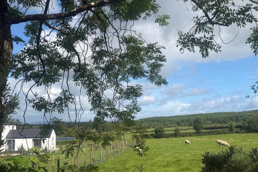 Photo of Others in Londonderry