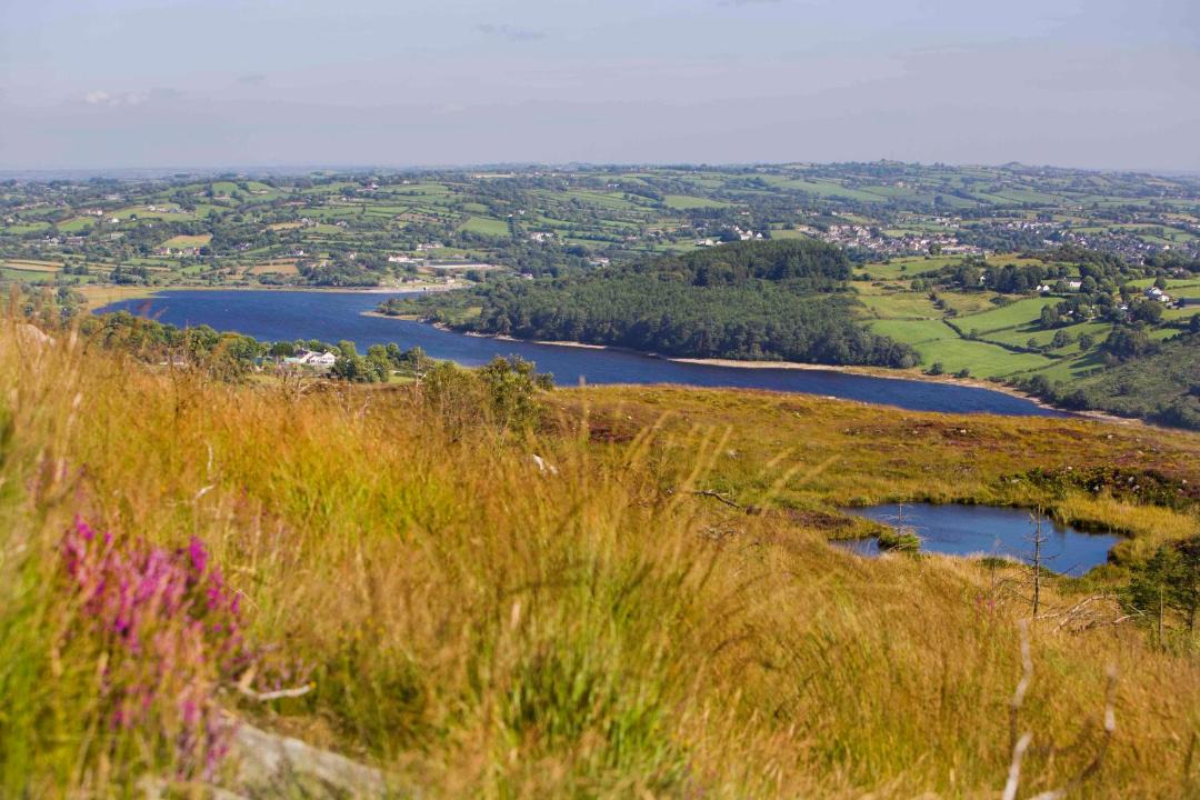 Photo of Others in Meigh