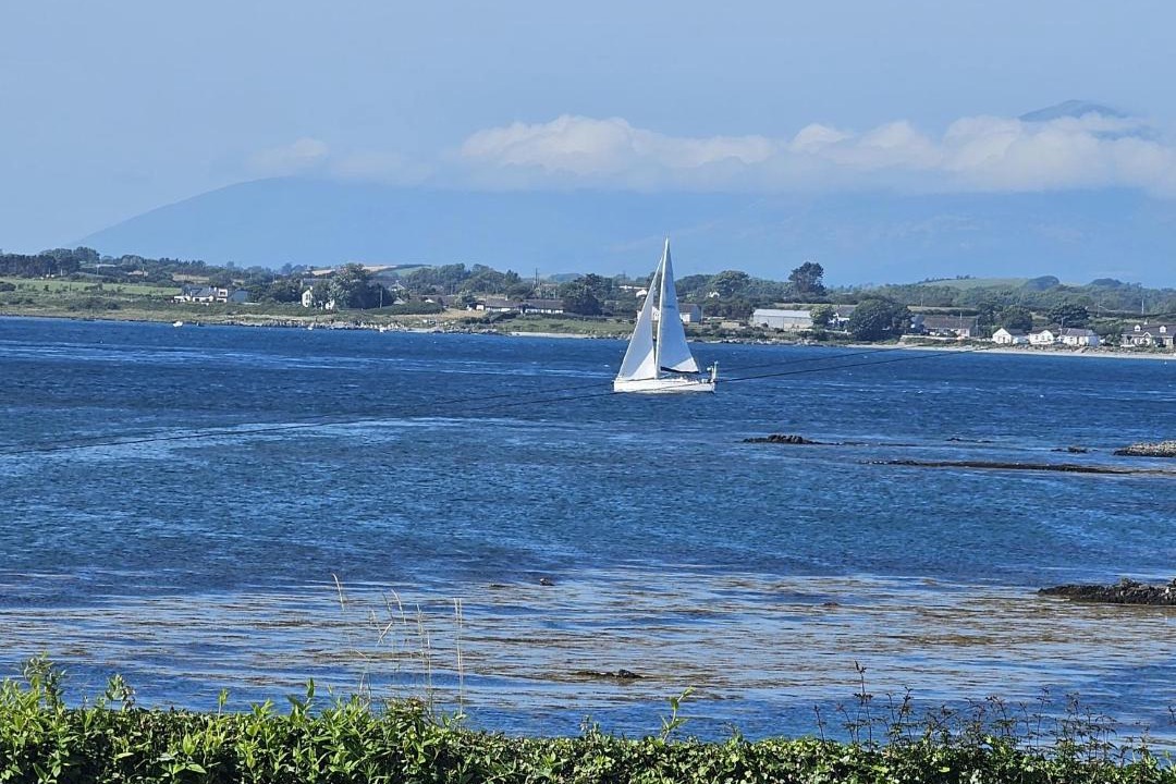 Photo of Others in Portaferry