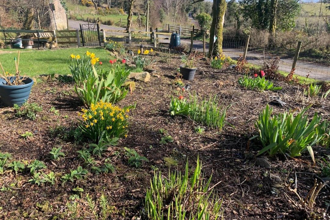Photo of Outdoor in Omagh