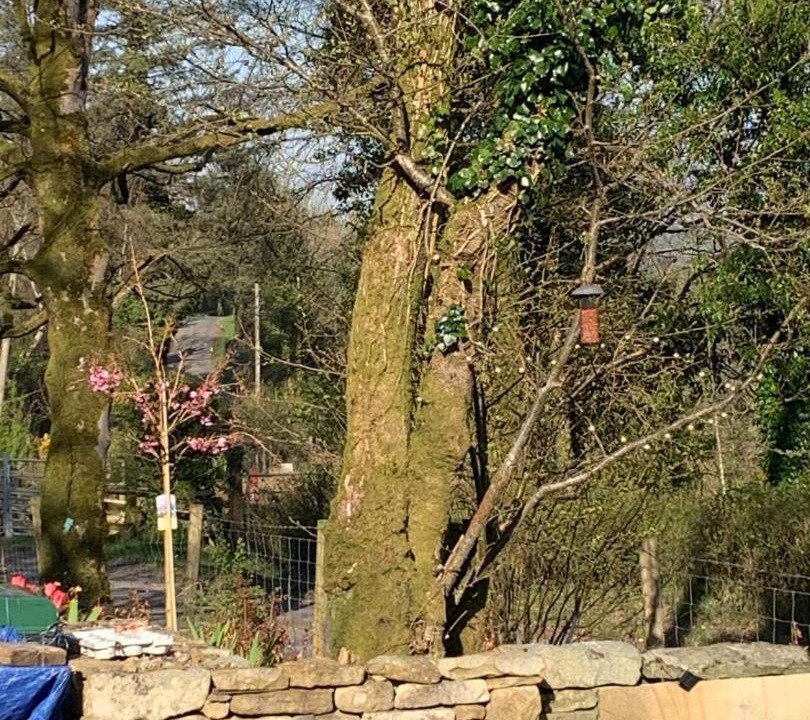 Photo of Others in Omagh