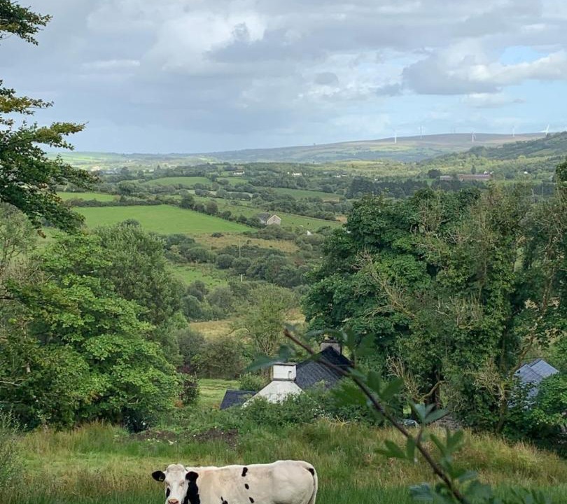 Photo of Others in Omagh