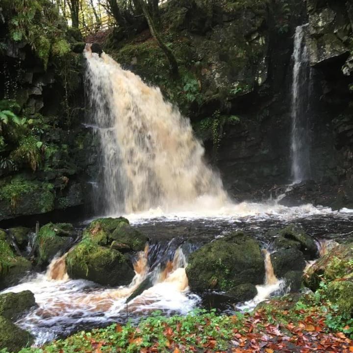 Photo of Others in Omagh