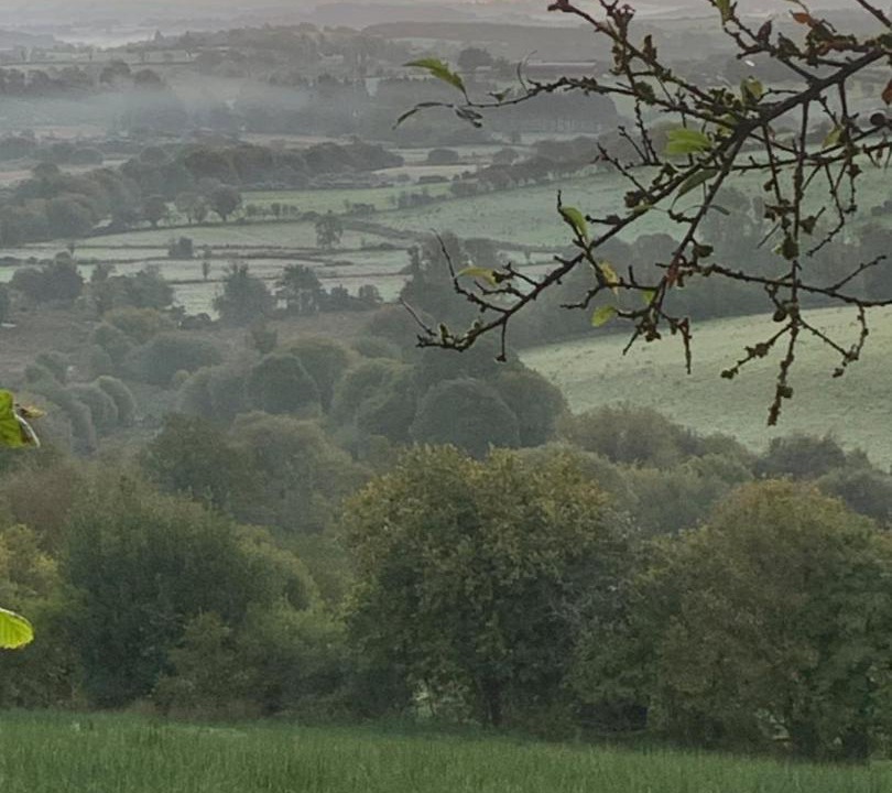 Photo of Others in Omagh