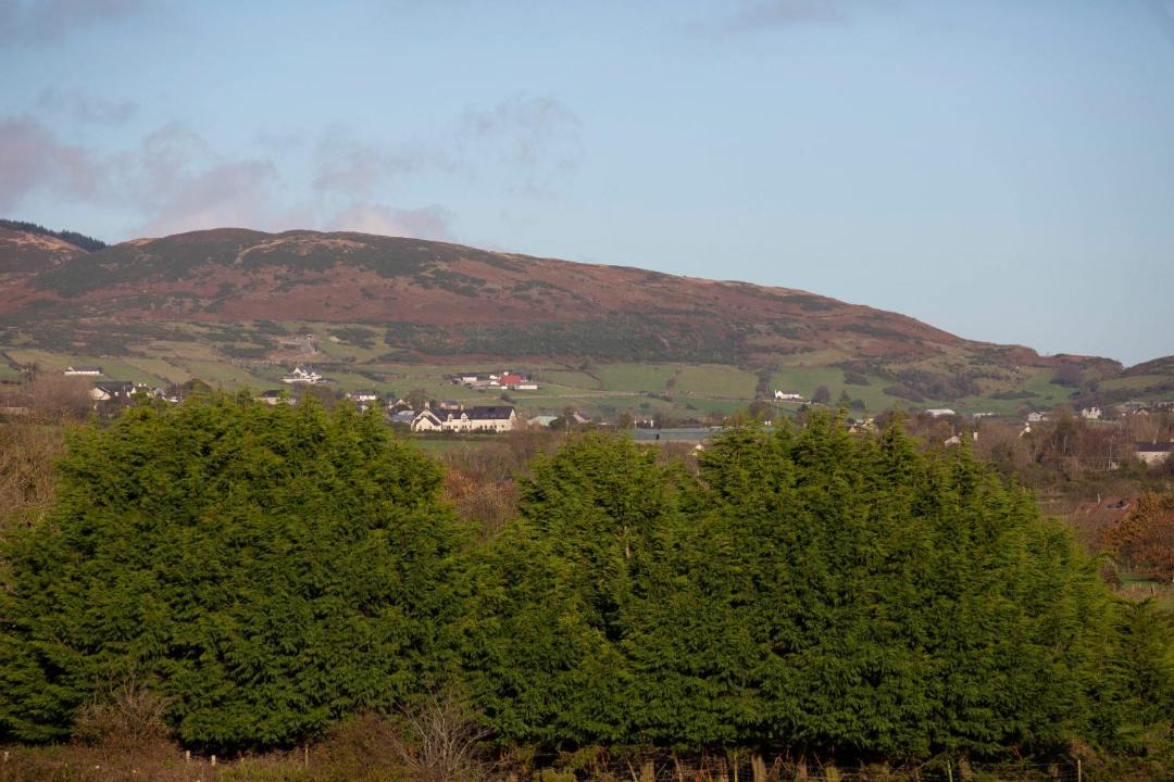 Photo of Others in Newry