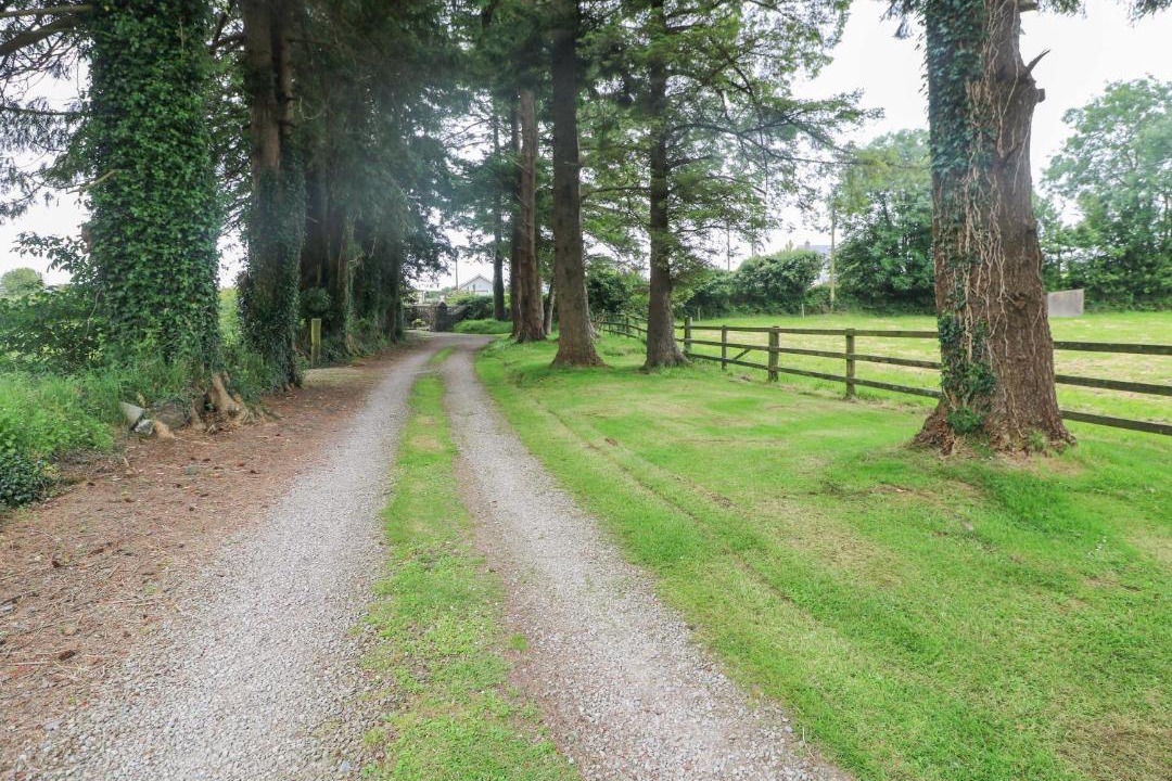 Photo of Others in Killotteran