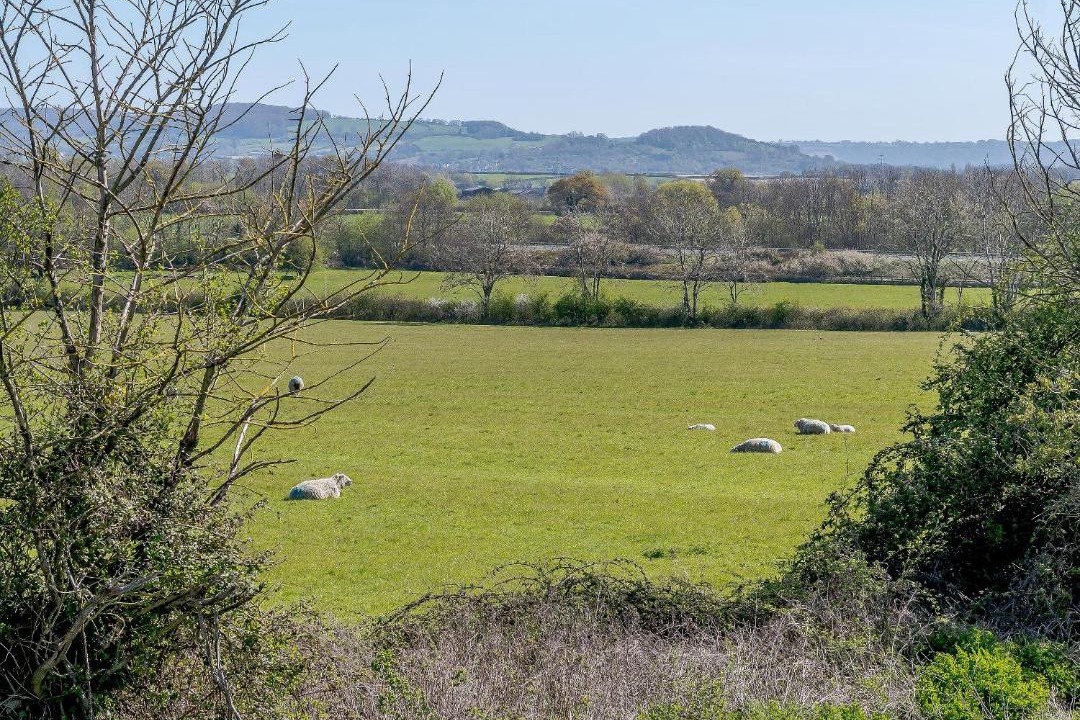 Photo of Others in Dursley
