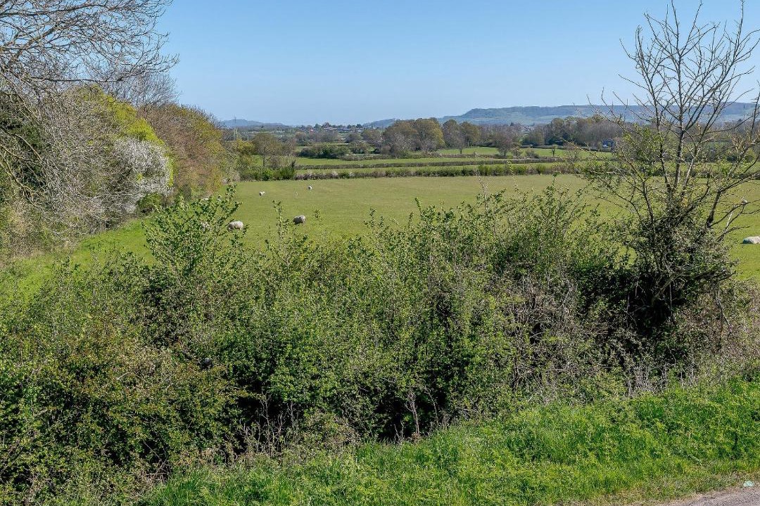 Photo of Others in Dursley