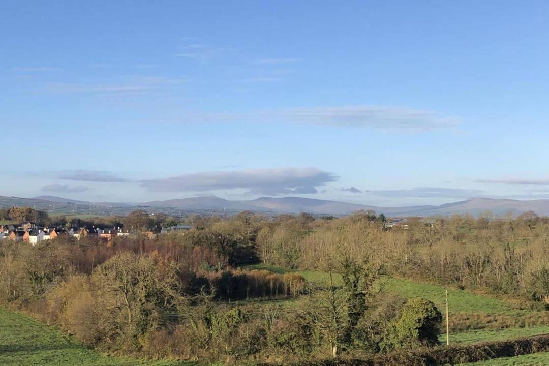 Photo of Others in Magherafelt