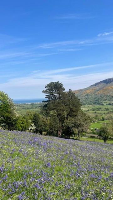 Photo of Others in Glenaan