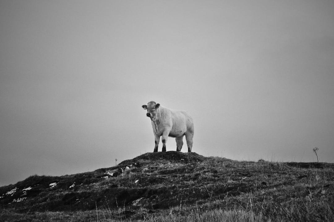 Photo of Others in Dunmore