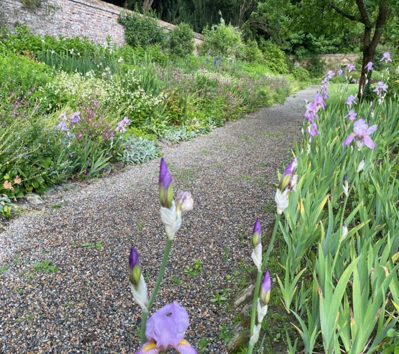 Photo of Outdoor in County Louth