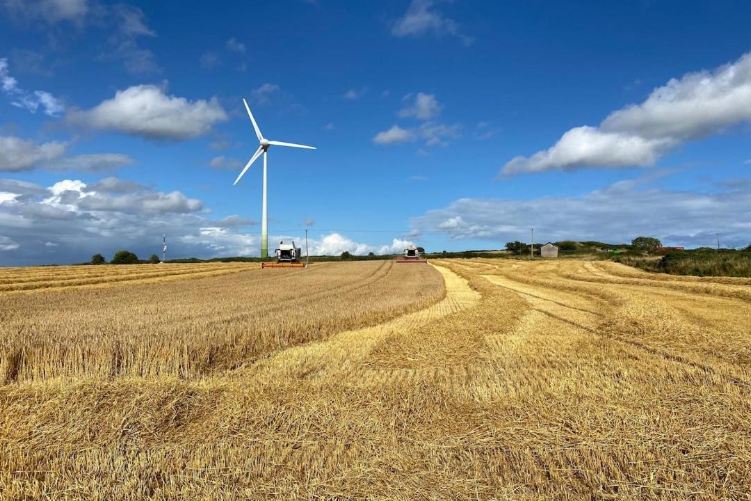 Photo of Others in County Cork