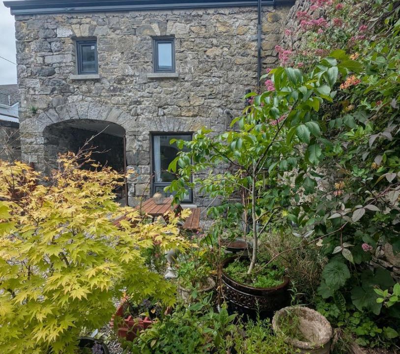 Photo of Others in Portumna