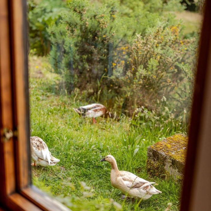 Photo of Others in Bantry