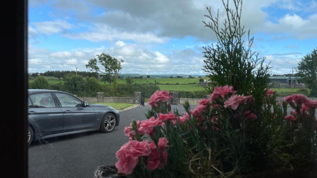 Photo of Others in Hugginstown