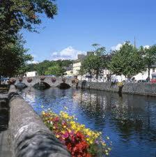 Photo of Others in Westport