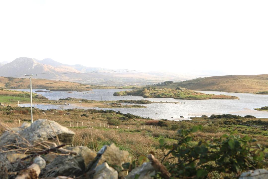 Photo of Others in Renvyle