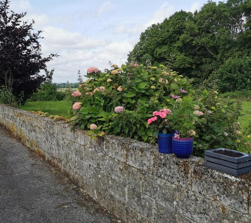 Photo of Others in Ahascragh