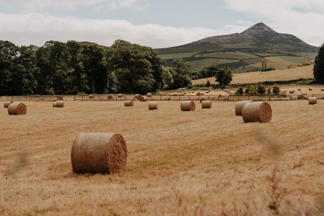 Photo of Others in Enniskerry