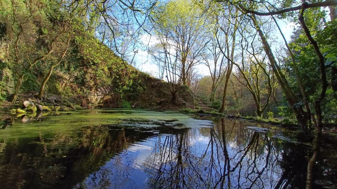 Photo of Others in Glen of Aherlow