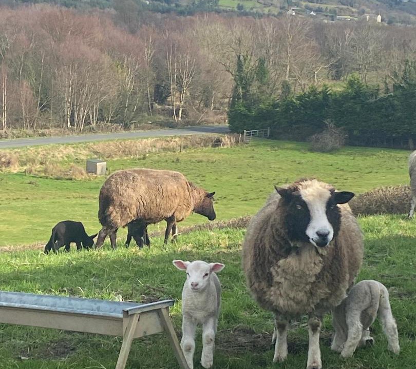 Photo of Others in Broadford