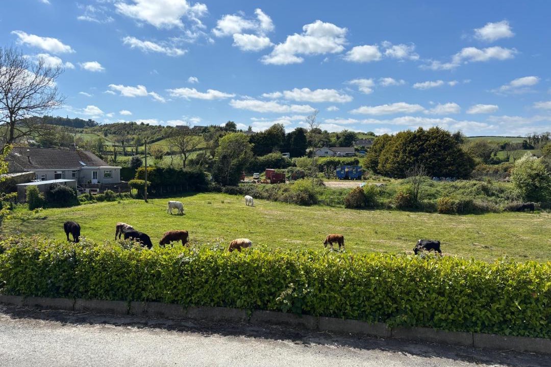 Photo of Others in Downpatrick
