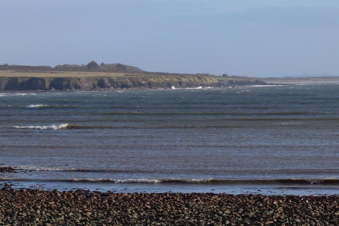 Photo of Others in Carrigaholt