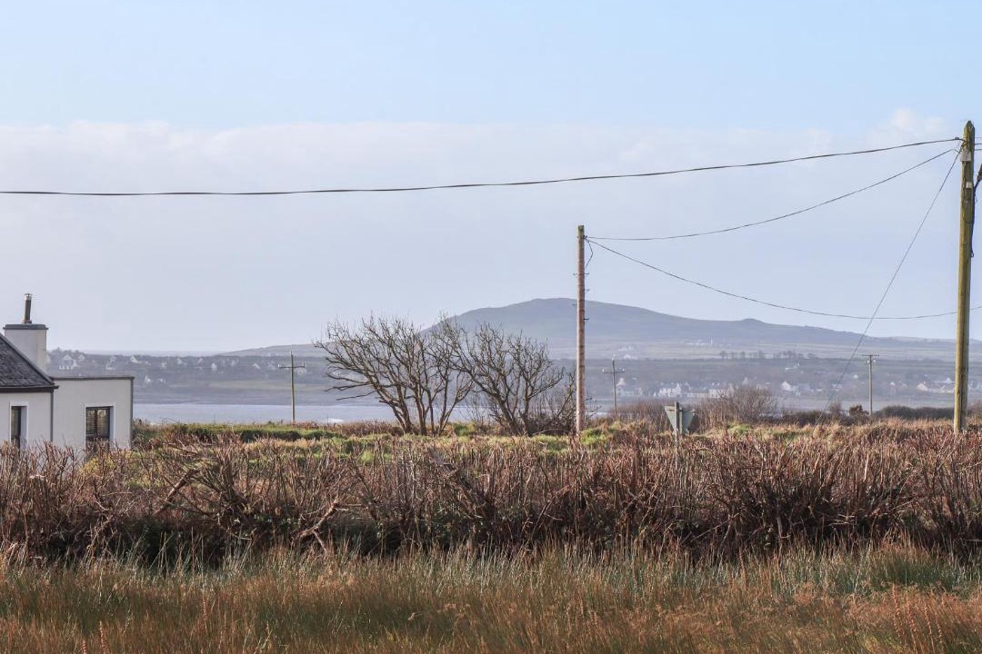 Photo of Others in Carrigaholt