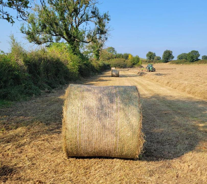 Photo of Others in Tudenham