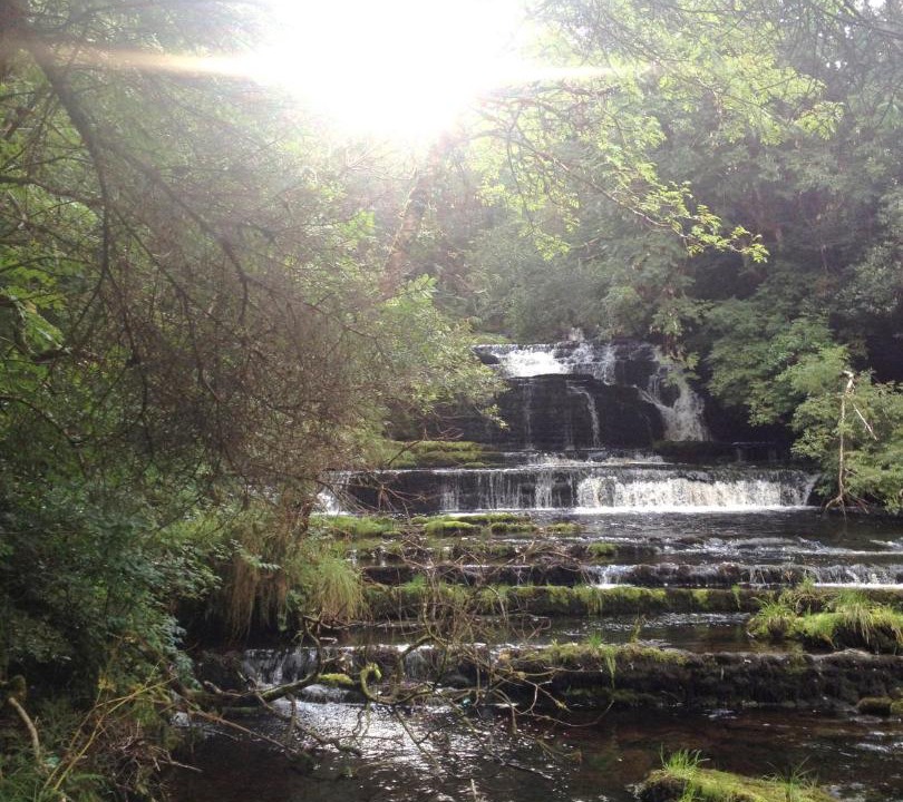 Photo of Others in Drumcliffe