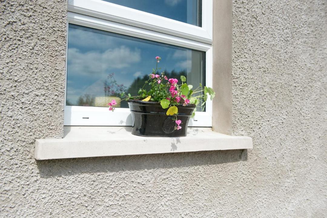 Photo of Others in Omagh