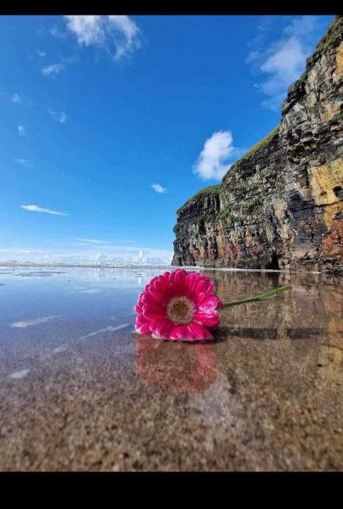 Photo of Others in Banna