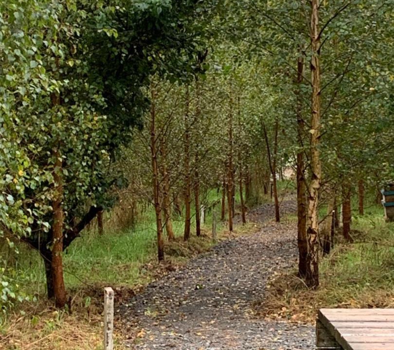 Photo of Outdoor in County Cavan