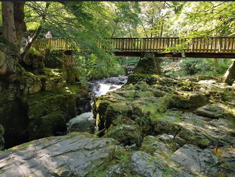 Photo of Others in Ballynahinch