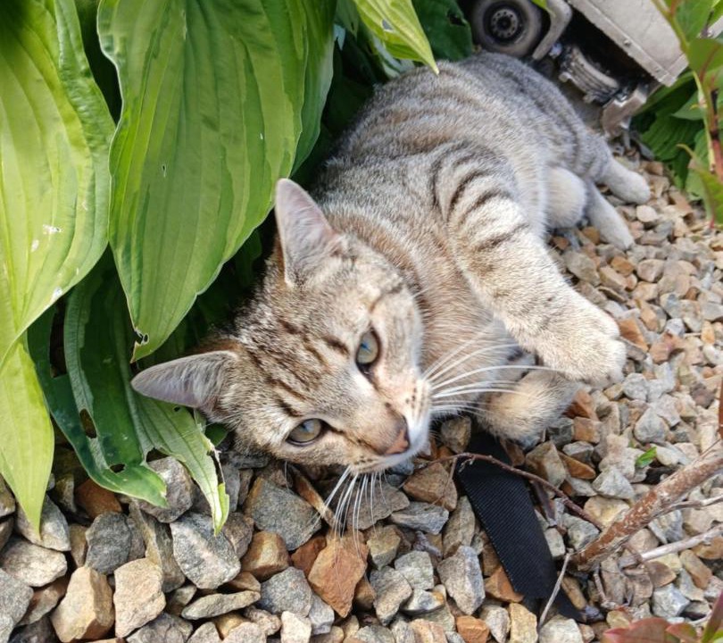 Photo of Outdoor in Lecemy