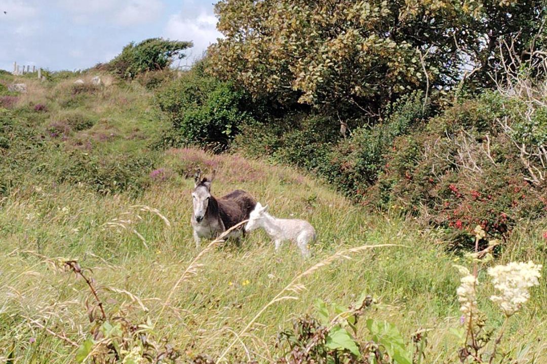 Photo of Others in Ballyconneely